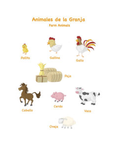 Vocabulary – Farm | Learning Spanish with Johanna